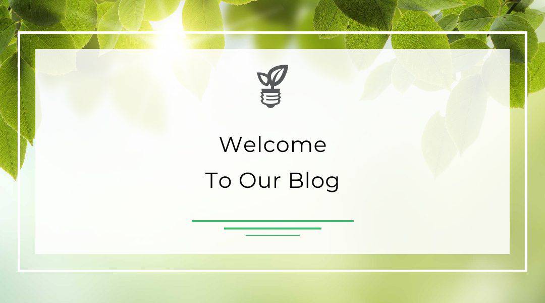 Welcome to Our Blog